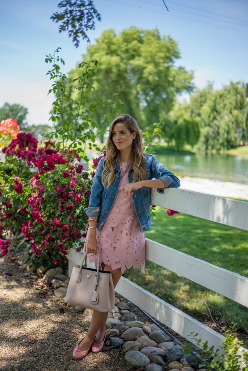 gal-meets-glam-pink-lace - Julia Berolzheimer gal-meets-glam-pink-lace - Julia Berolzheimer