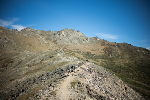 Savage-River-Alpine-Trail-Denali-National-Park