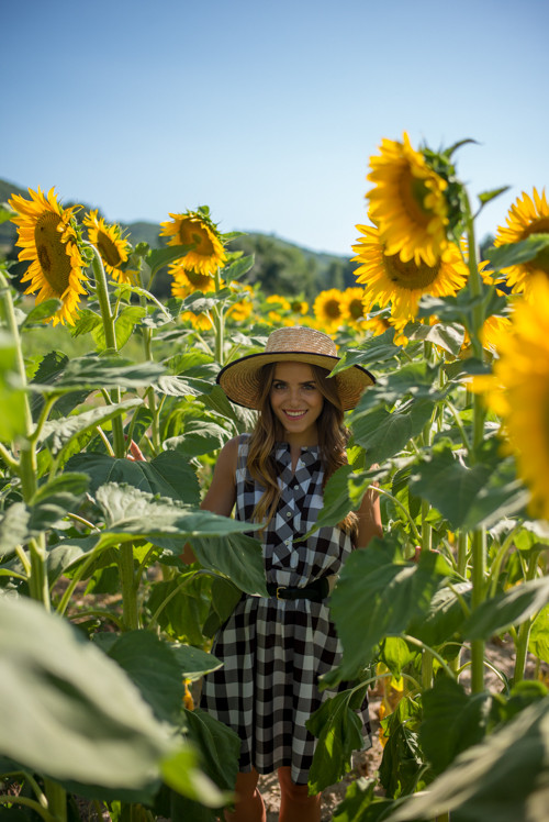 Girl in Gingham Dress in Sunflower Field