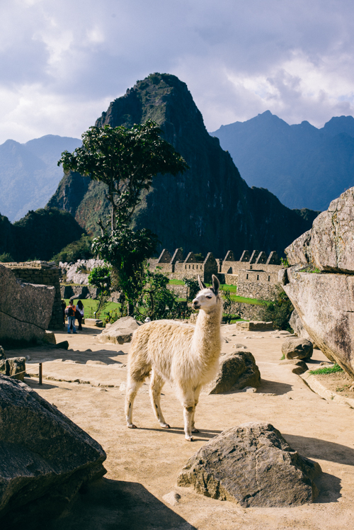 Machu Picchu Ancient City in Peru