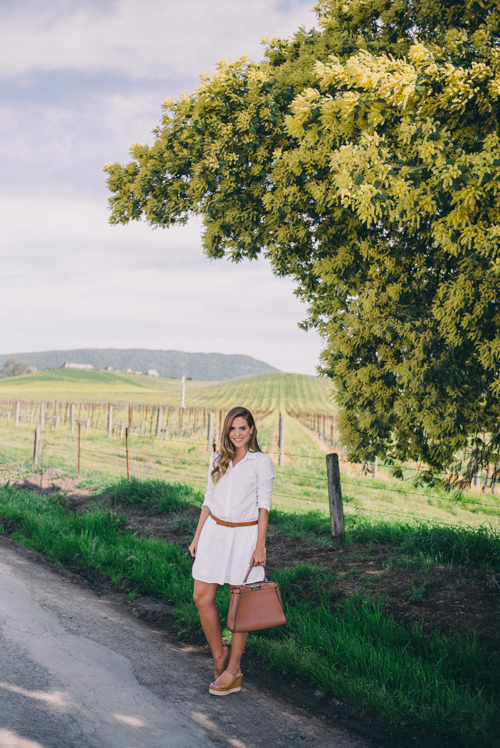 Gal Meets Glam Spring In Napa Valley