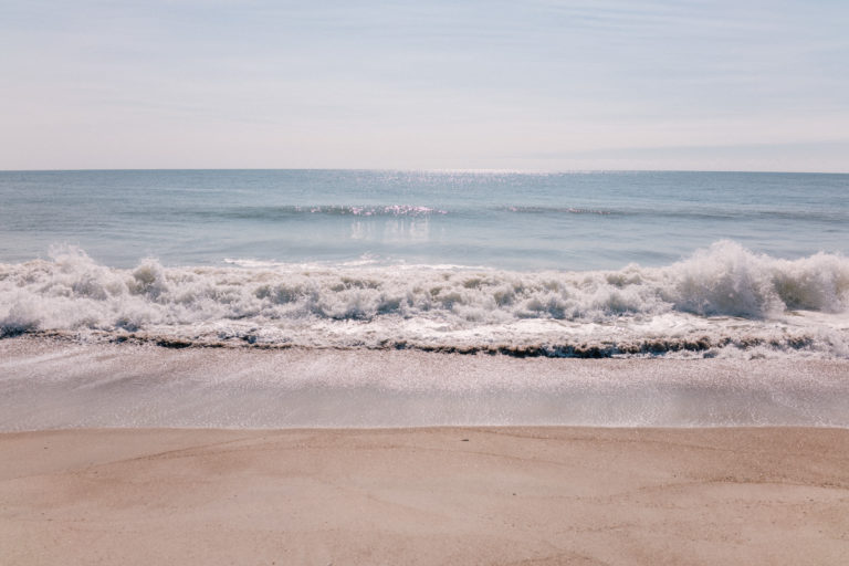 Amelia Island - Julia Berolzheimer