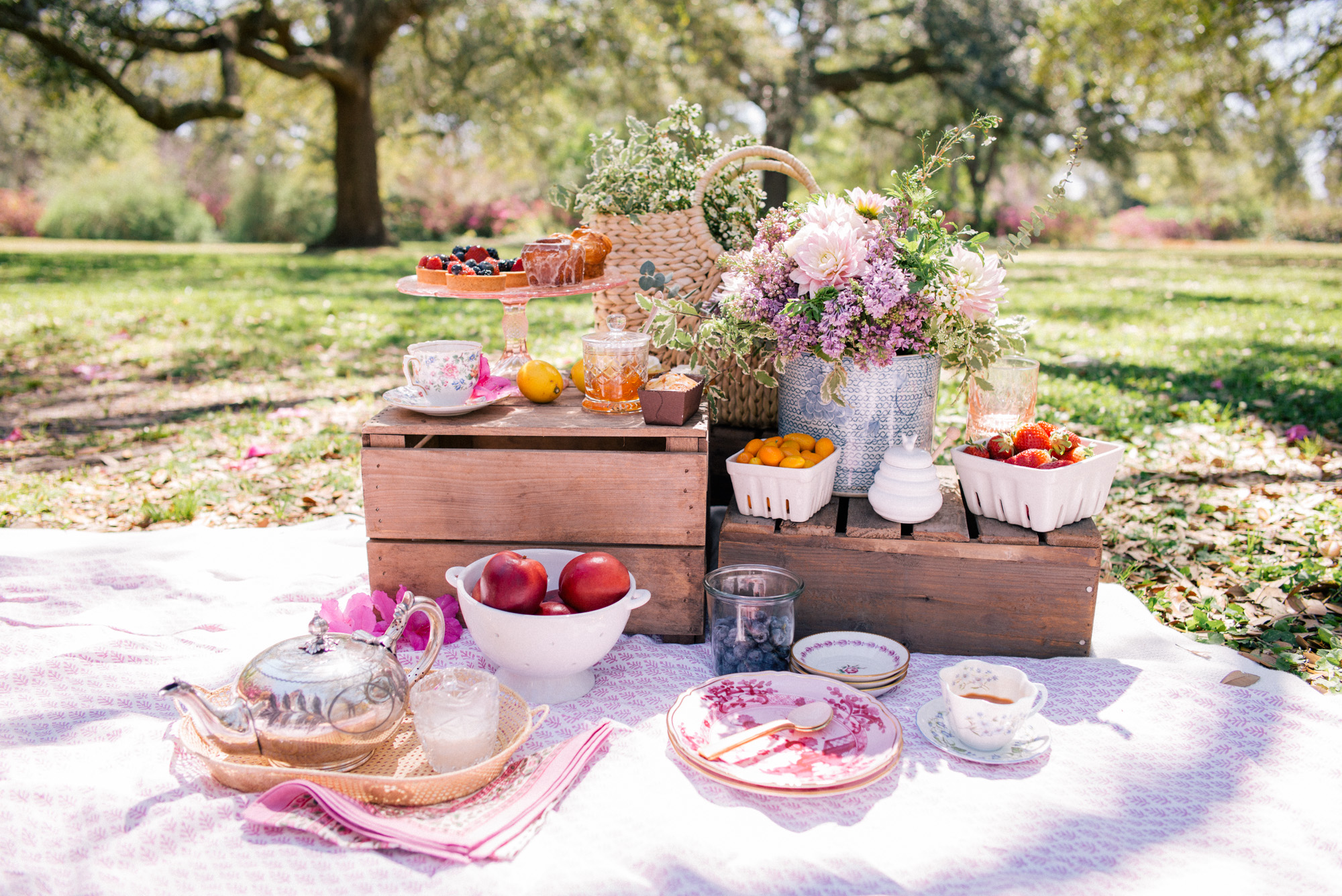 gmg-picnic-tea-party-1000558