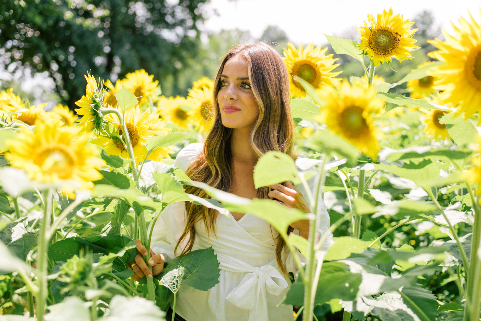 gal-meets-glam-sunflowers-asheville-1003614
