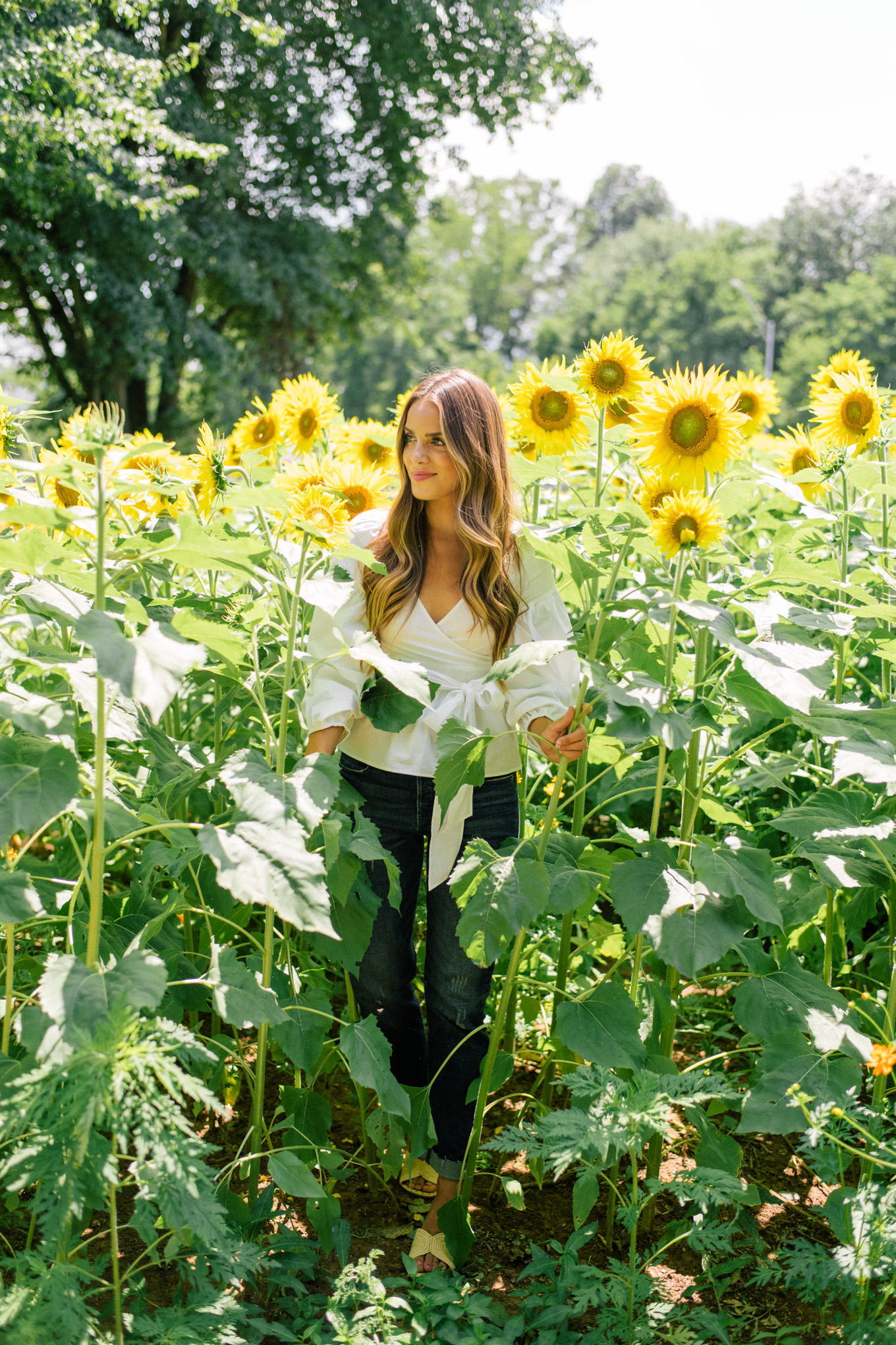 gal-meets-glam-sunflowers-asheville-1003622