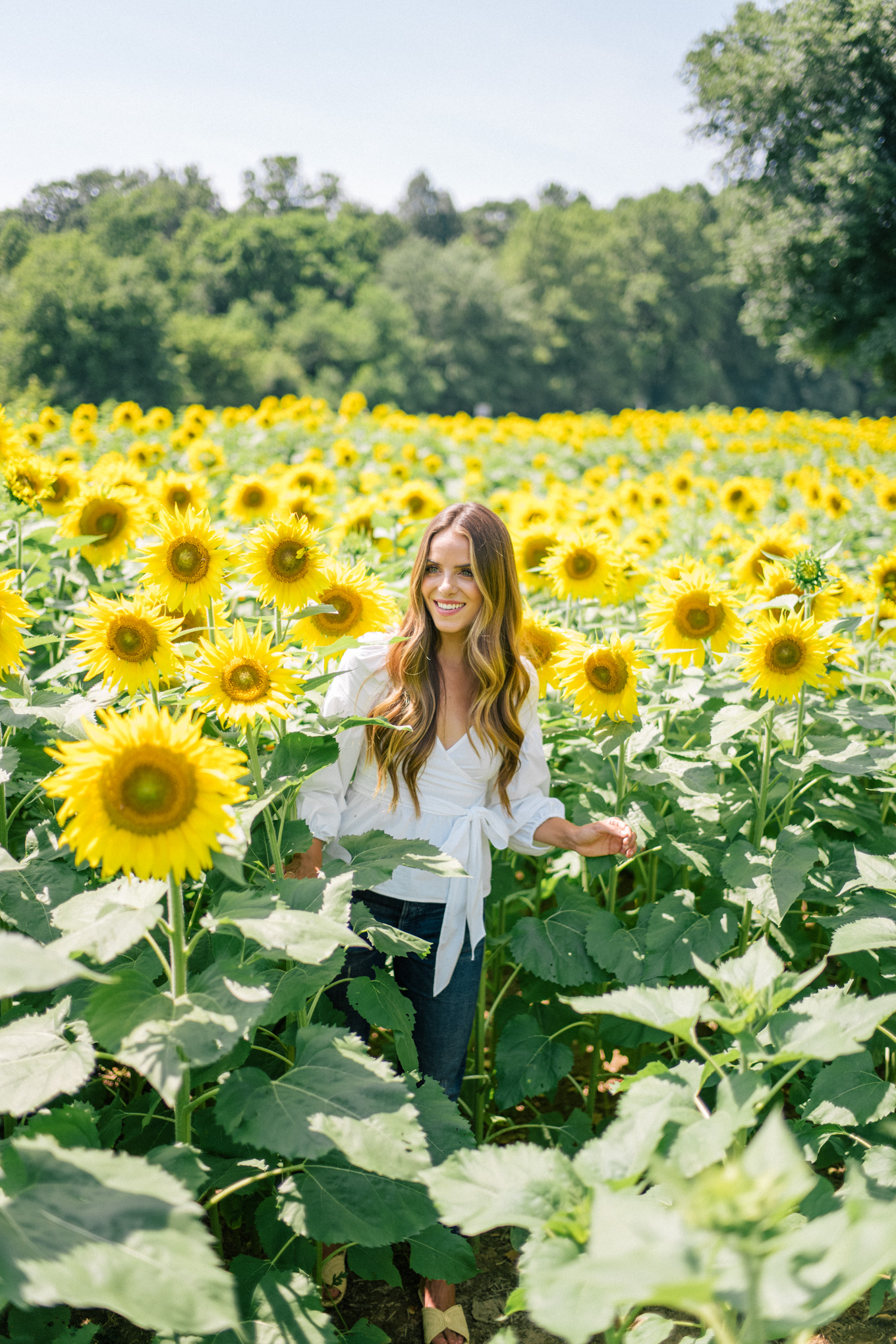 gal-meets-glam-sunflowers-asheville-1003812