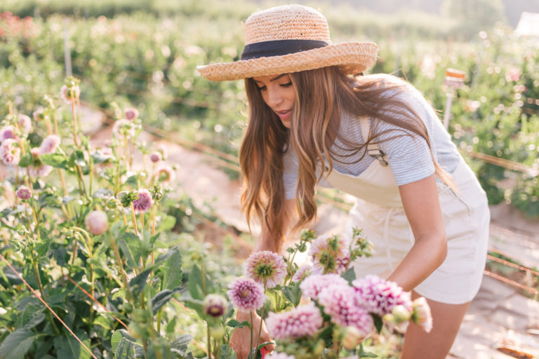 gmg-flourish-flower-farm-asheville-nc-1002998 - Julia ...