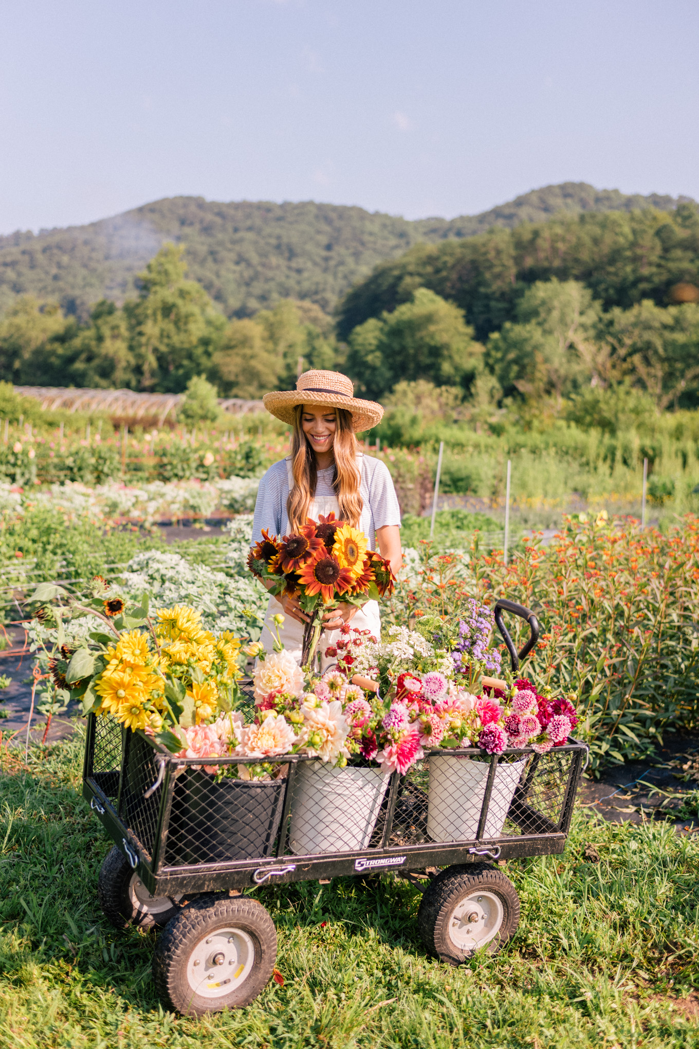 Craigslist Asheville Nc Farm Garden - o2tl3l6