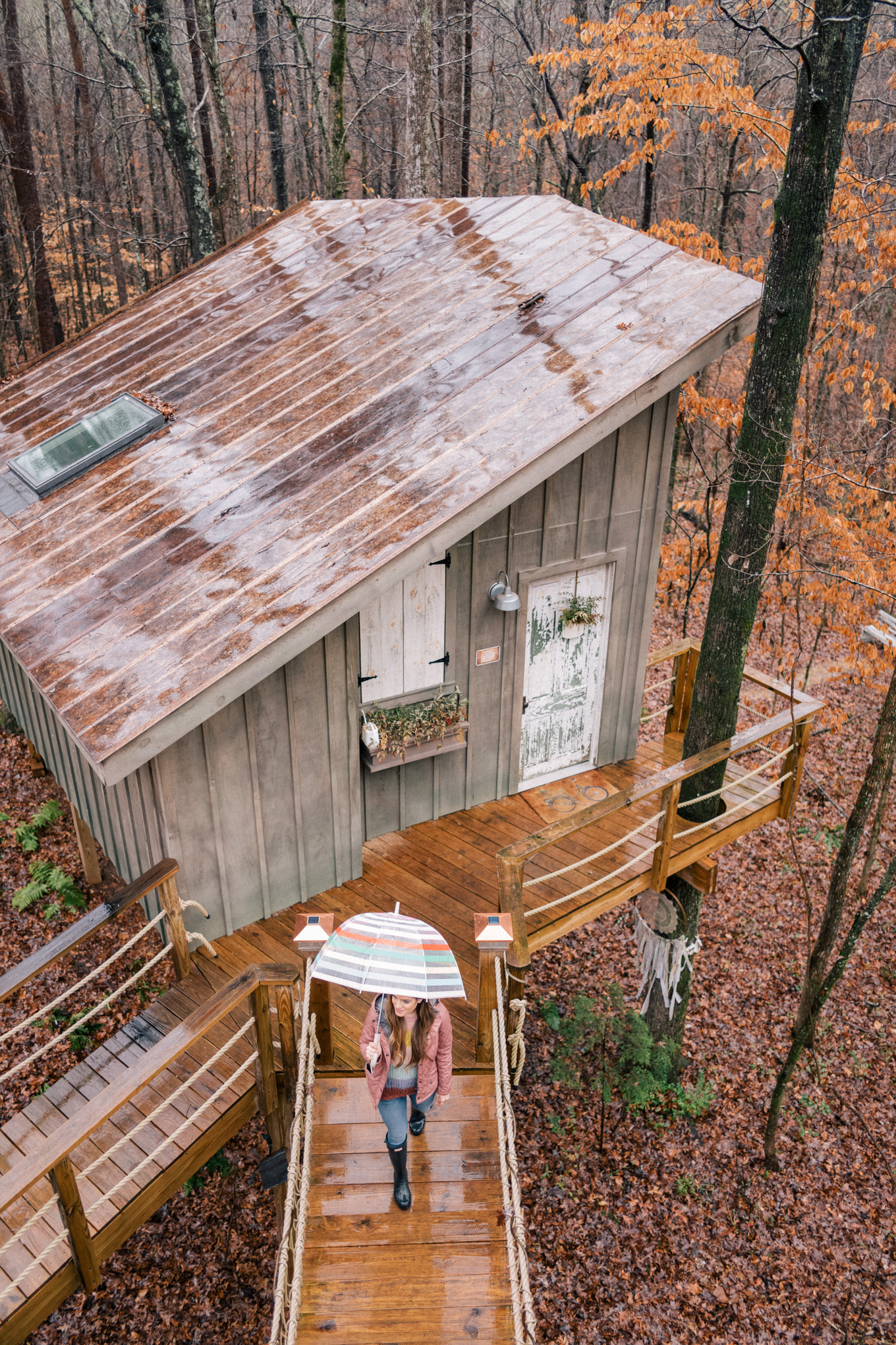 bolt farm treehouse airbnb