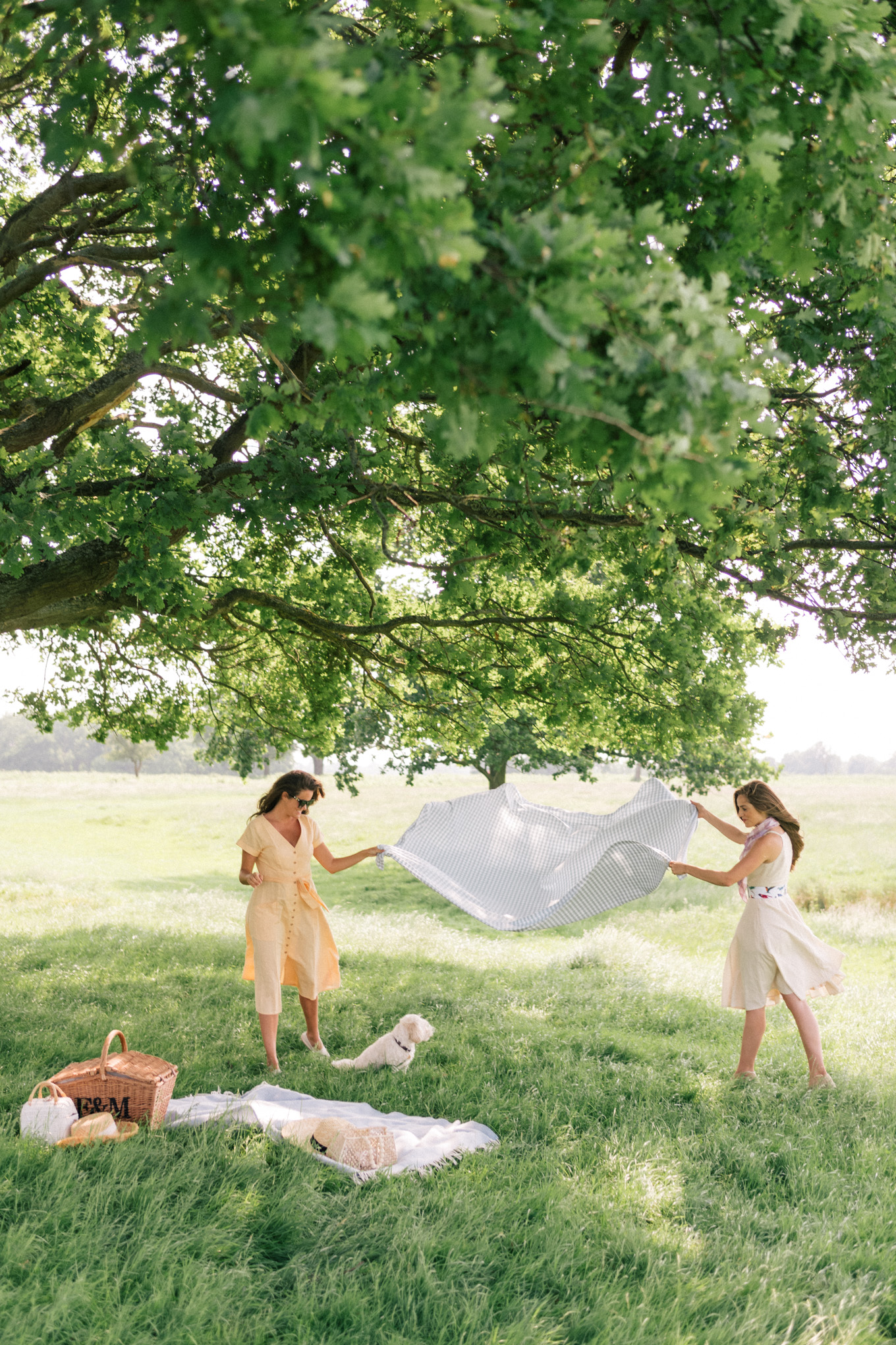 gmg-picnic-richmond-park-london-1001293 - Julia Berolzheimer