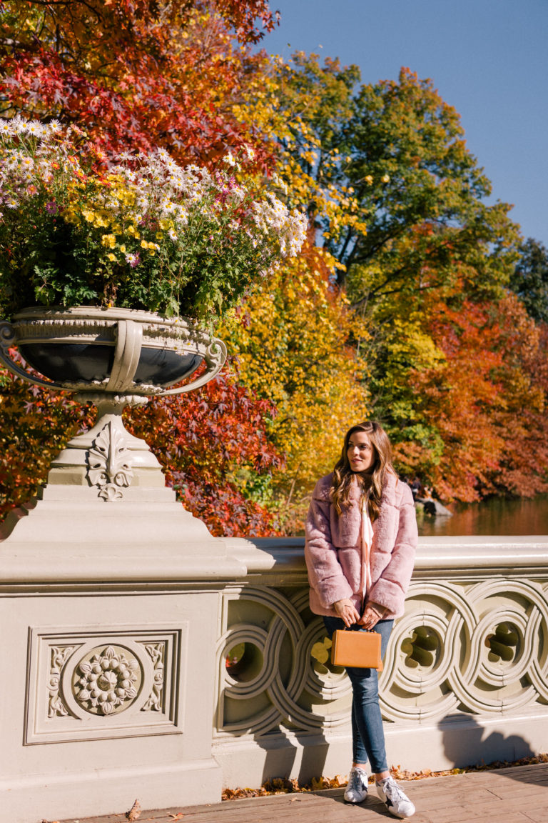 The Faux Fur Coat Of My Dreams - Julia Berolzheimer