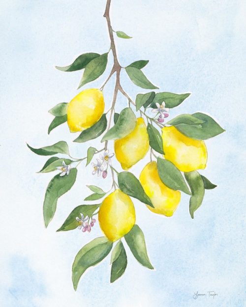 Limited Edition Clementine & Lemon Watercolor Prints - Julia Berolzheimer