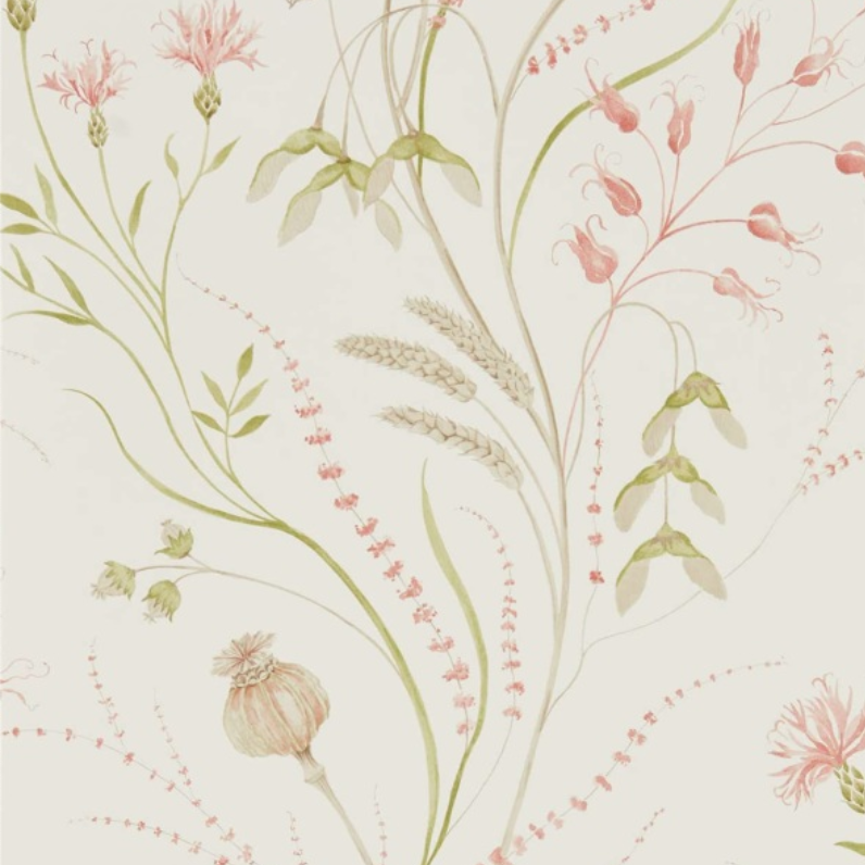 Botanical Wallpaper Julia Berolzheimer