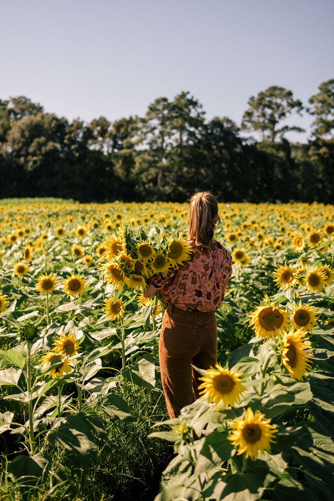 pink floral top brown pants sunflowers