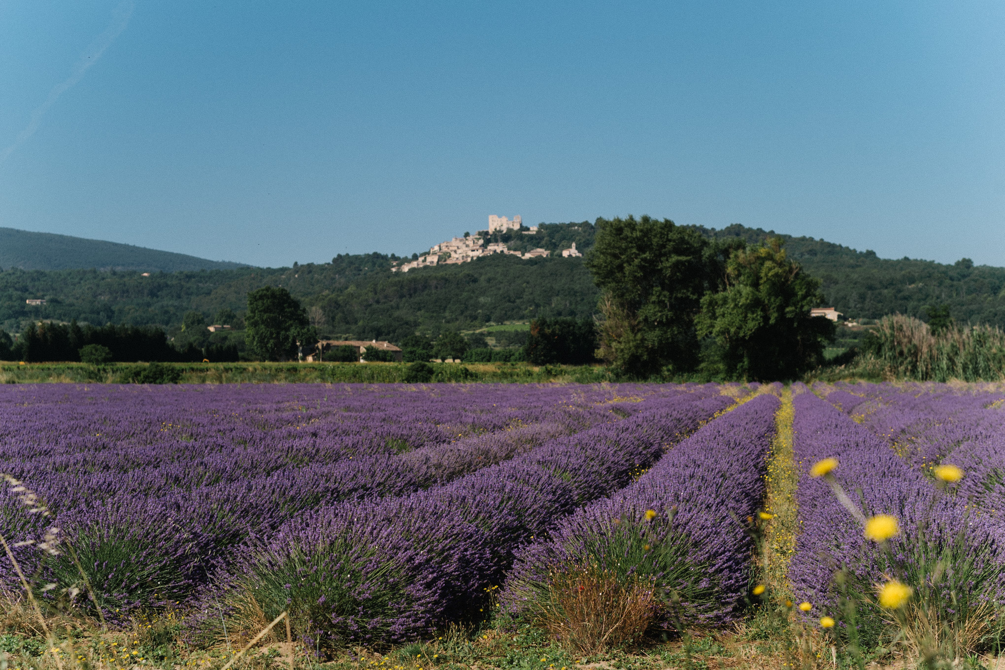 summer in provence