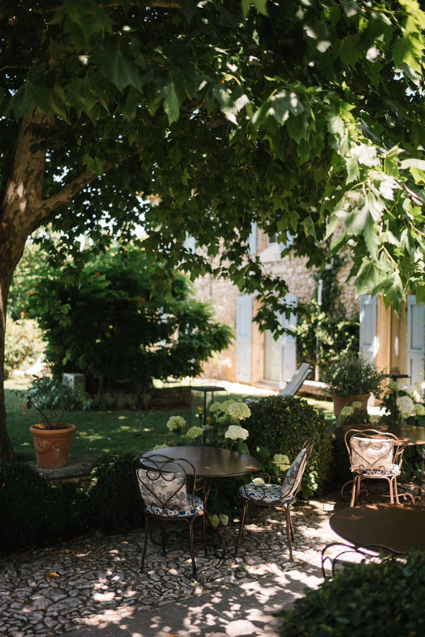 summer in provence