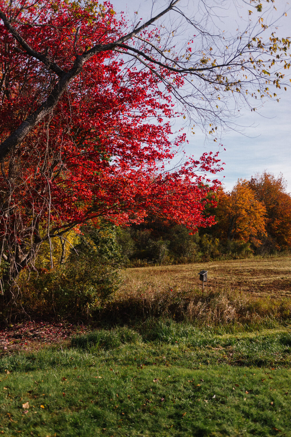 Brisk Weather Getaways - Julia Berolzheimer