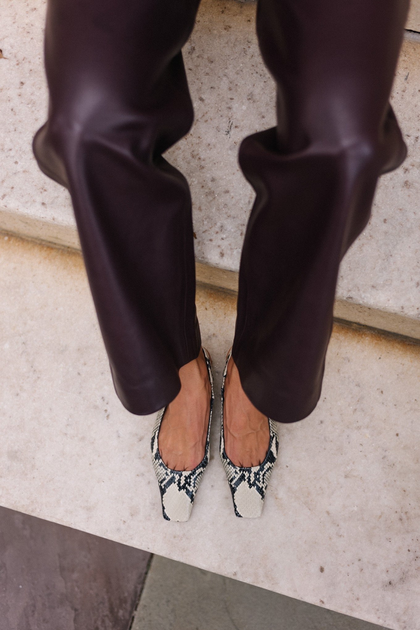 Chestnut T-shirt, chestnut leather pants, snakeskin flats