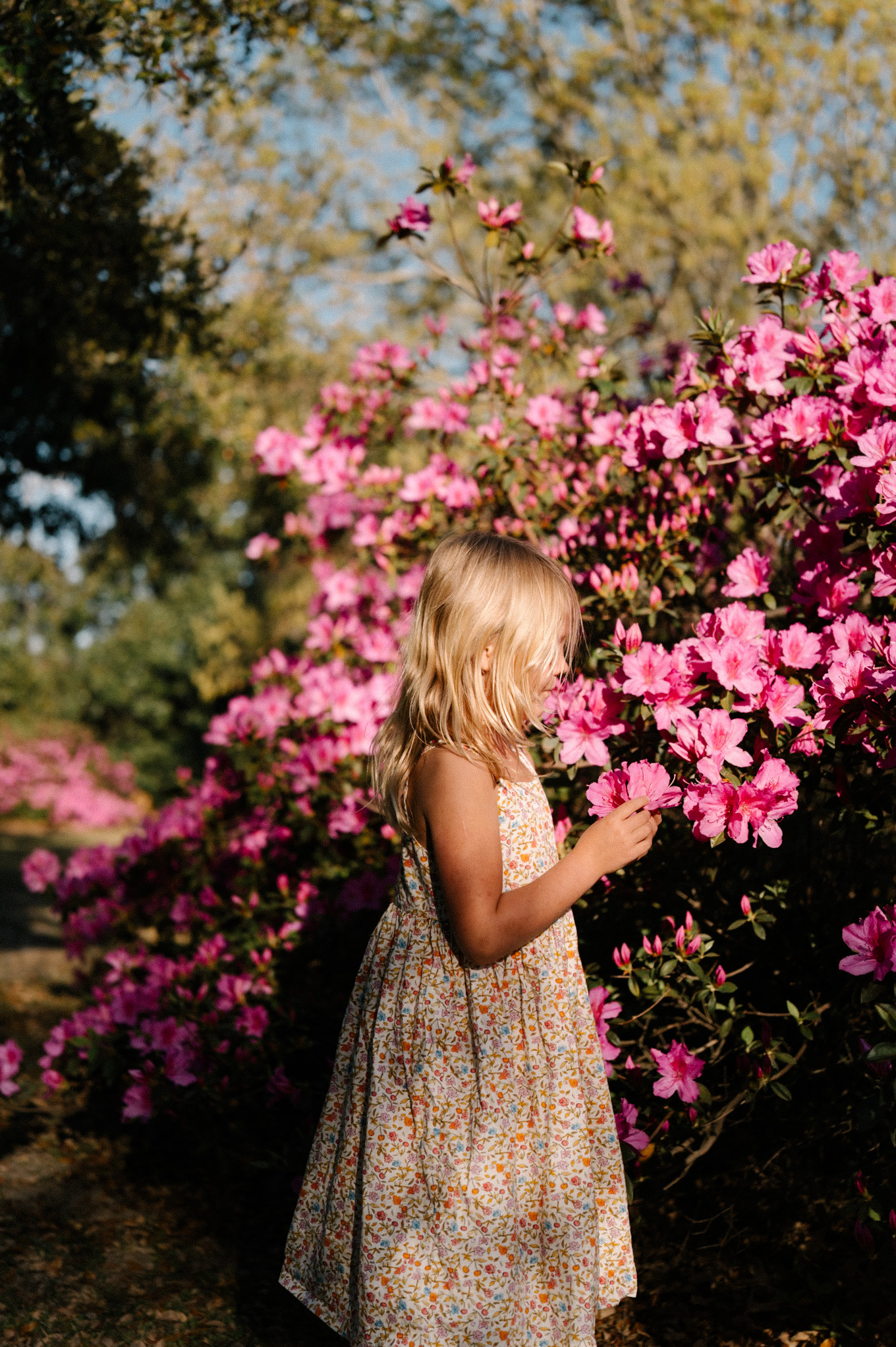 spring gardens