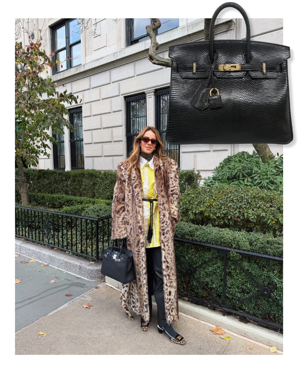 december daily looks